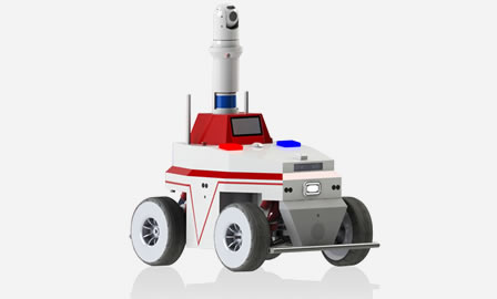 �����C����